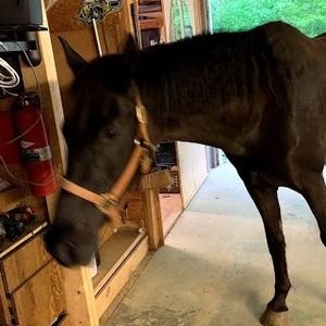 Meet your Posher, Christine